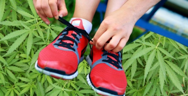 Cannabis