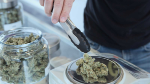 Storing Your Cannabis Edibles: Best Practices