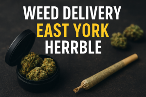 weed delivery east york