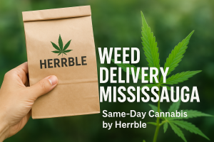 Weed Delivery Mississauga