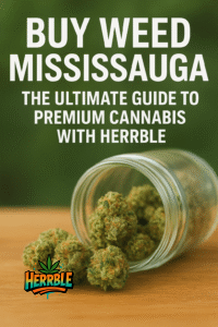 buy weed Mississauga