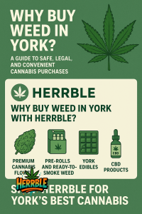 Buy Weed York