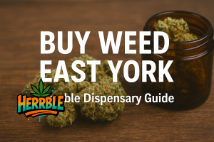 buy weed East York