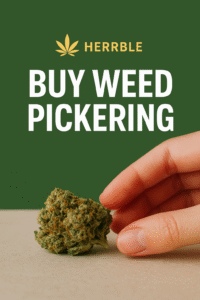 buy weed Pickering