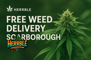 Free Weed delivery Scarborough