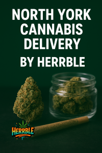 North York cannabis delivery