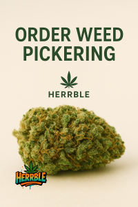 Order Weed Pickering