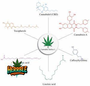 What Not to Eat While Using Marijuana