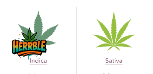 Indica vs. Sativa: What's the Difference?
