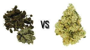why weed tastes harsh